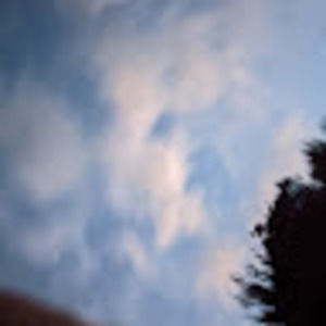 Meet your Posher, Jen